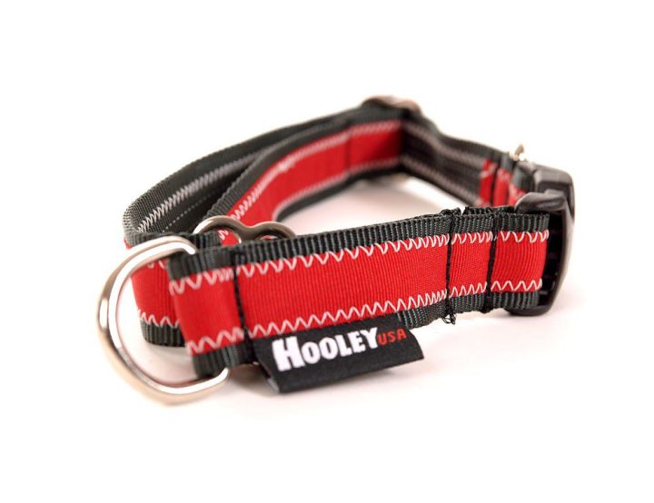 Hooley Dog Collar-0